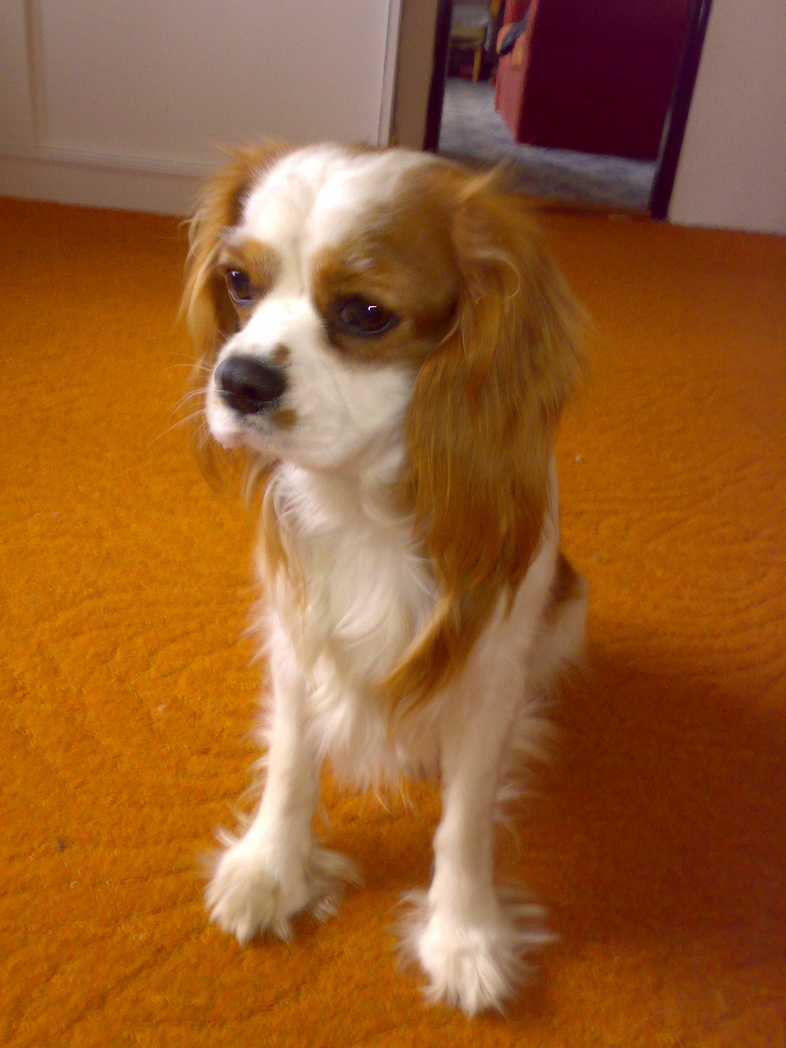 010720071241.jpg